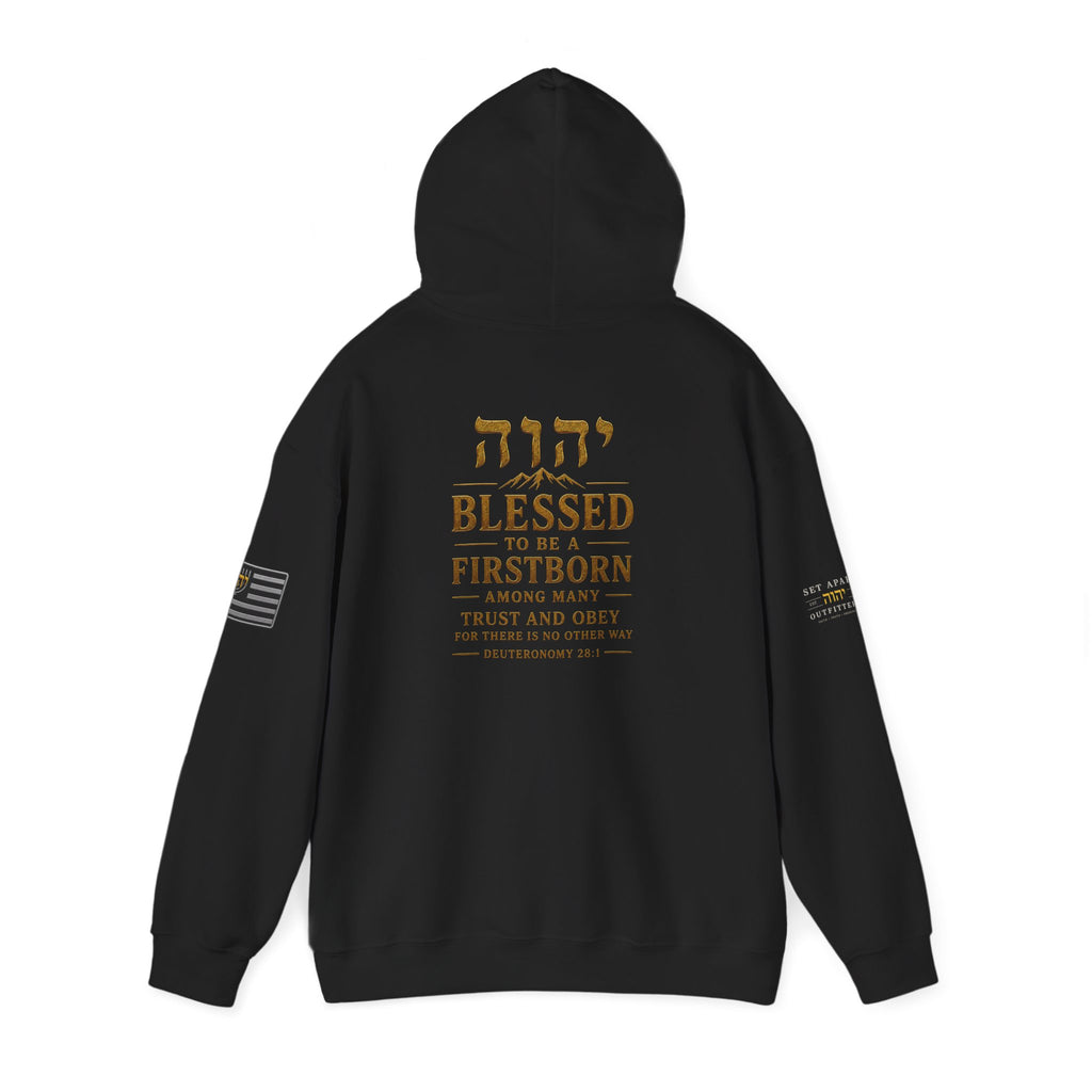 TRUST AND OBEY | Deuteronomy 28:1 | Premium Heavy Blend™ Hoodie