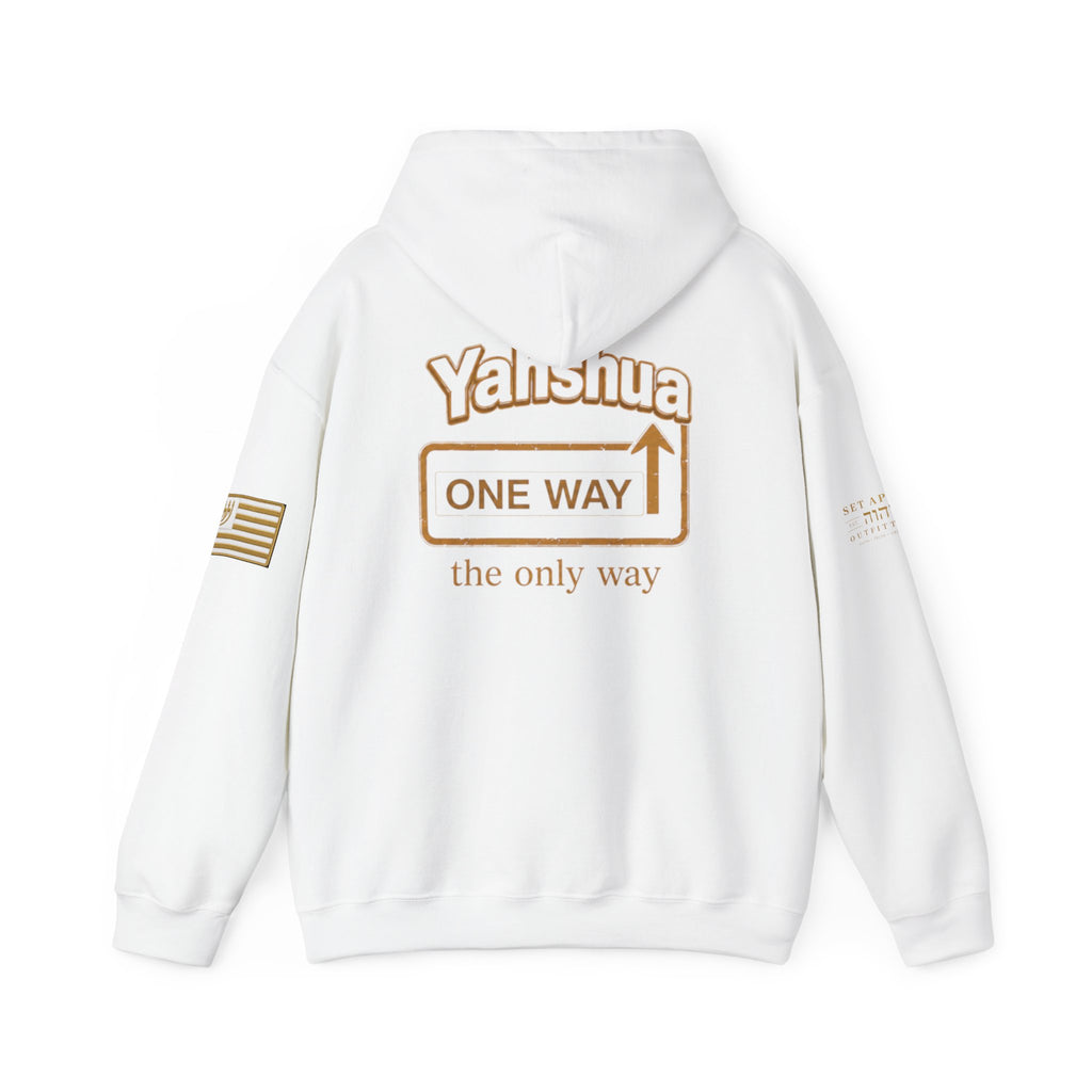 ONE WAY | John 14:6 | Premium Heavy Blend™ Hoodie