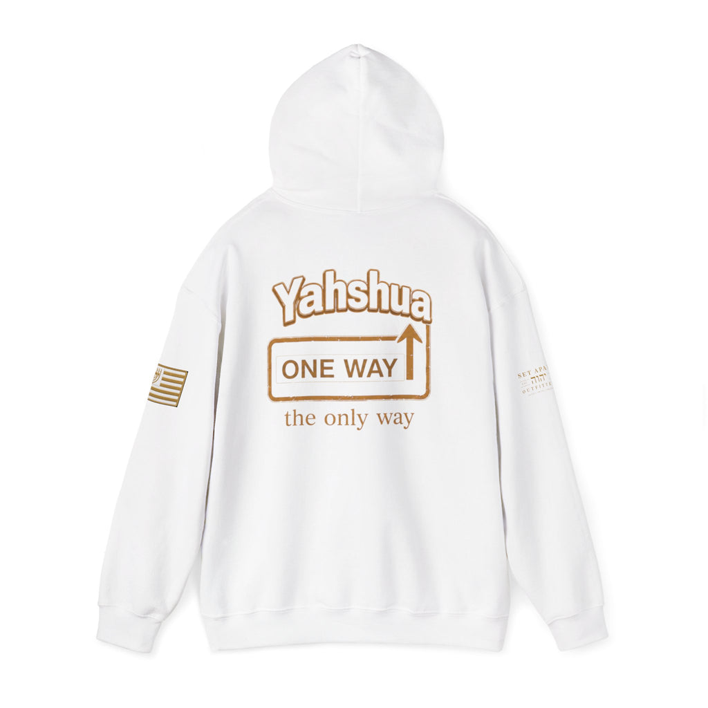 ONE WAY | John 14:6 | Premium Heavy Blend™ Hoodie