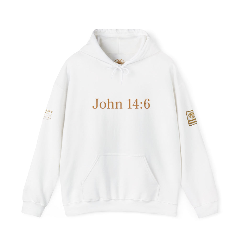 ONE WAY | John 14:6 | Premium Heavy Blend™ Hoodie