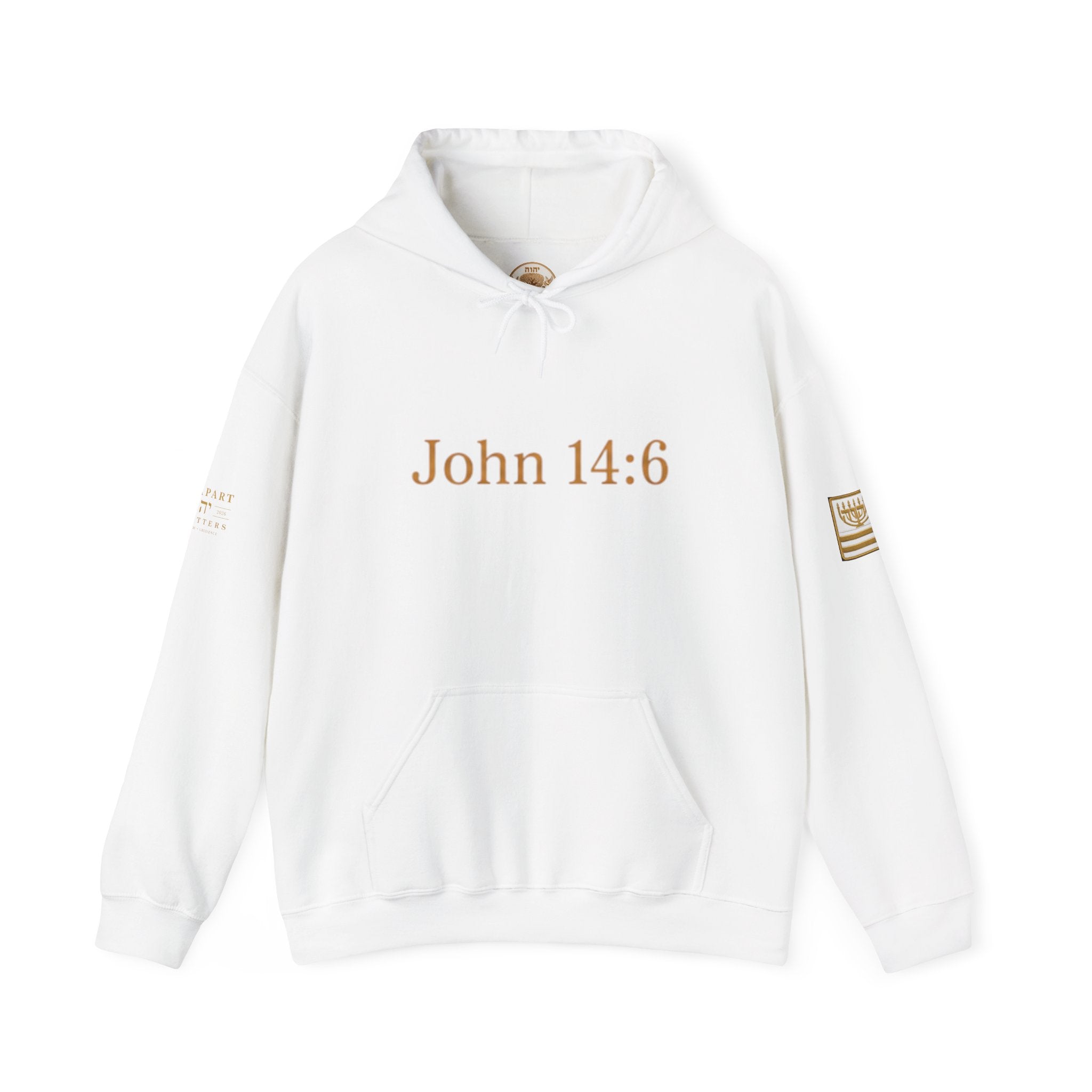 ONE WAY | John 14:6 | Premium Heavy Blend™ Hoodie