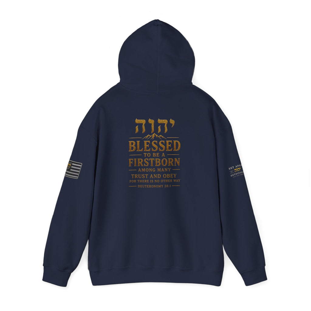 TRUST AND OBEY | Deuteronomy 28:1 | Premium Heavy Blend™ Hoodie