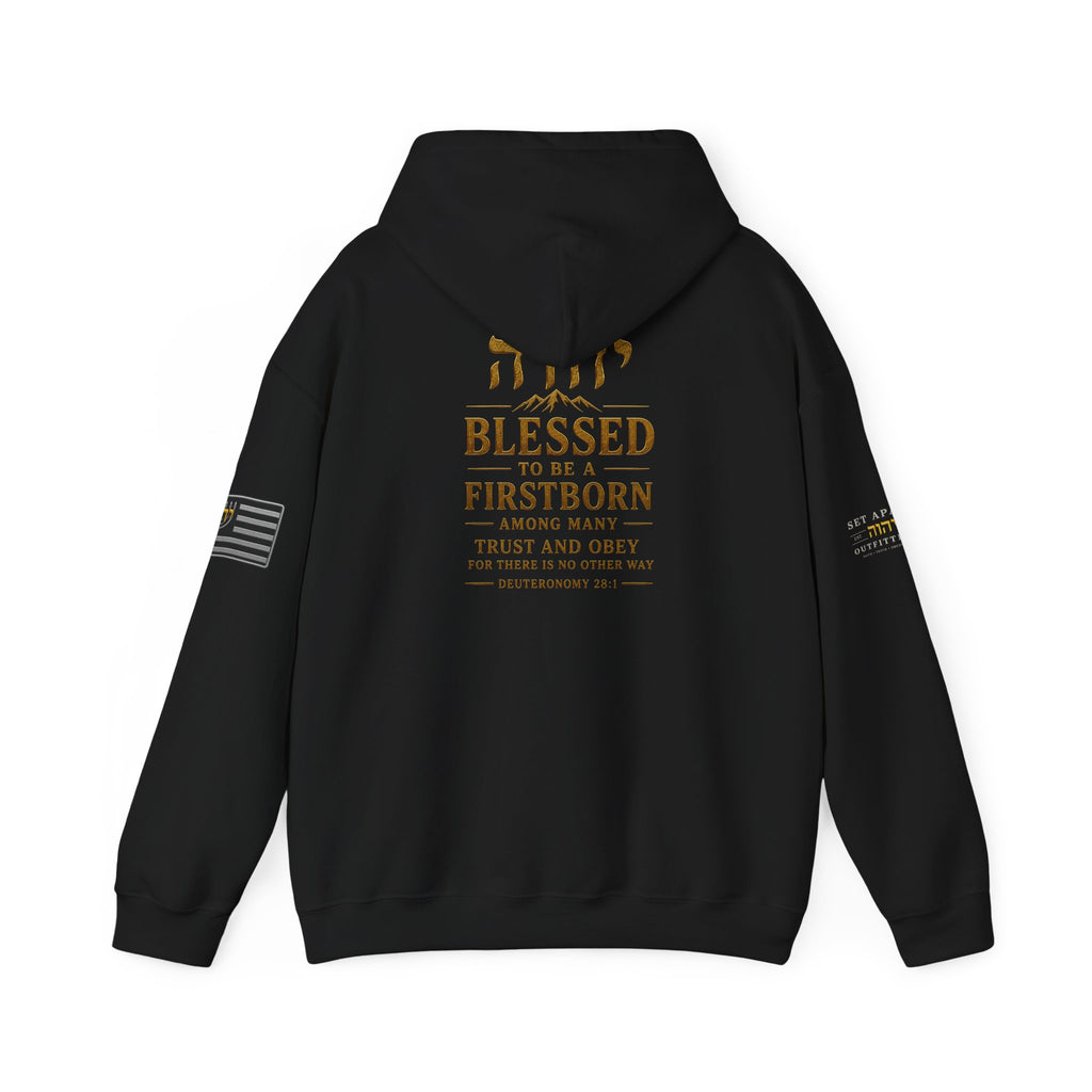 TRUST AND OBEY | Deuteronomy 28:1 | Premium Heavy Blend™ Hoodie