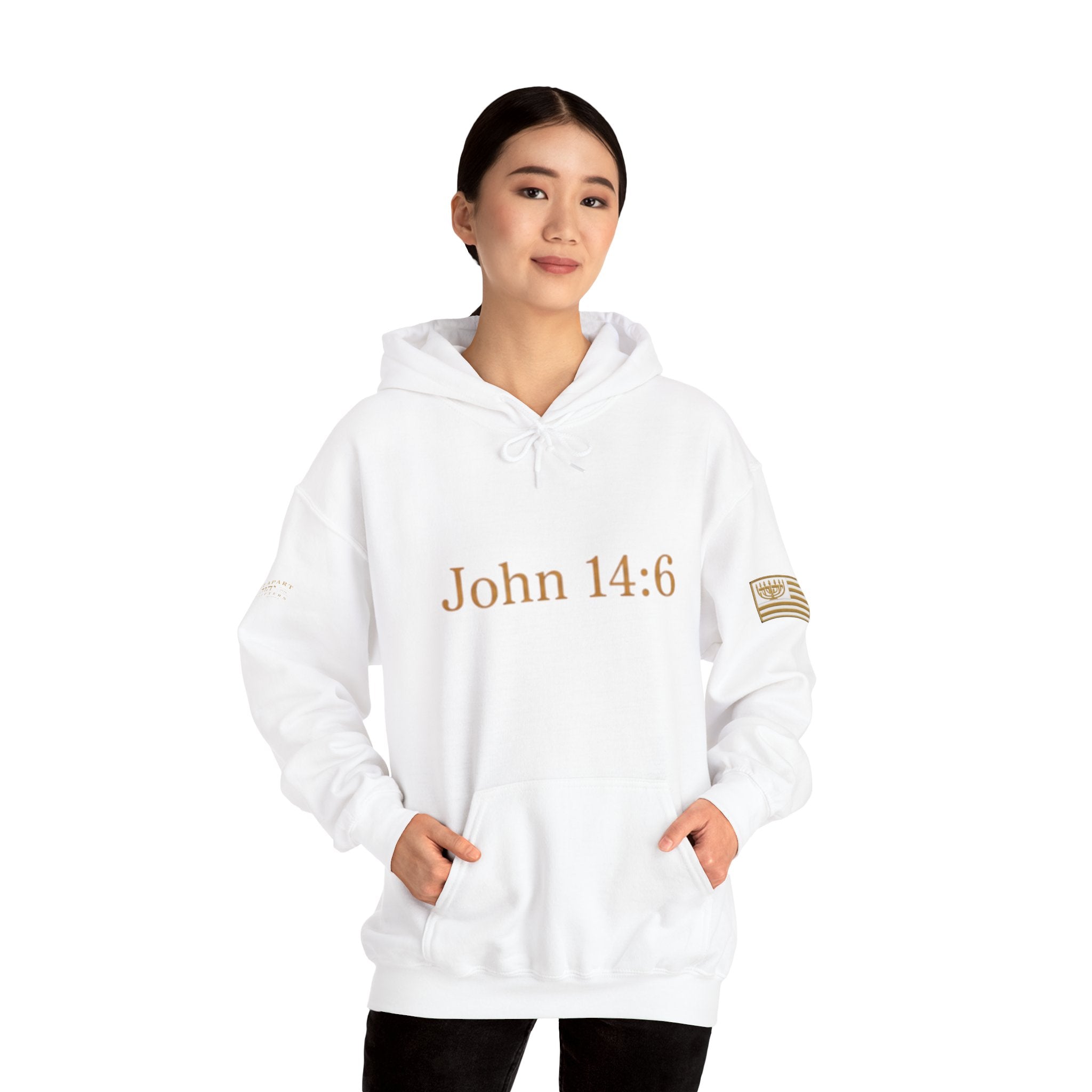 ONE WAY | John 14:6 | Premium Heavy Blend™ Hoodie