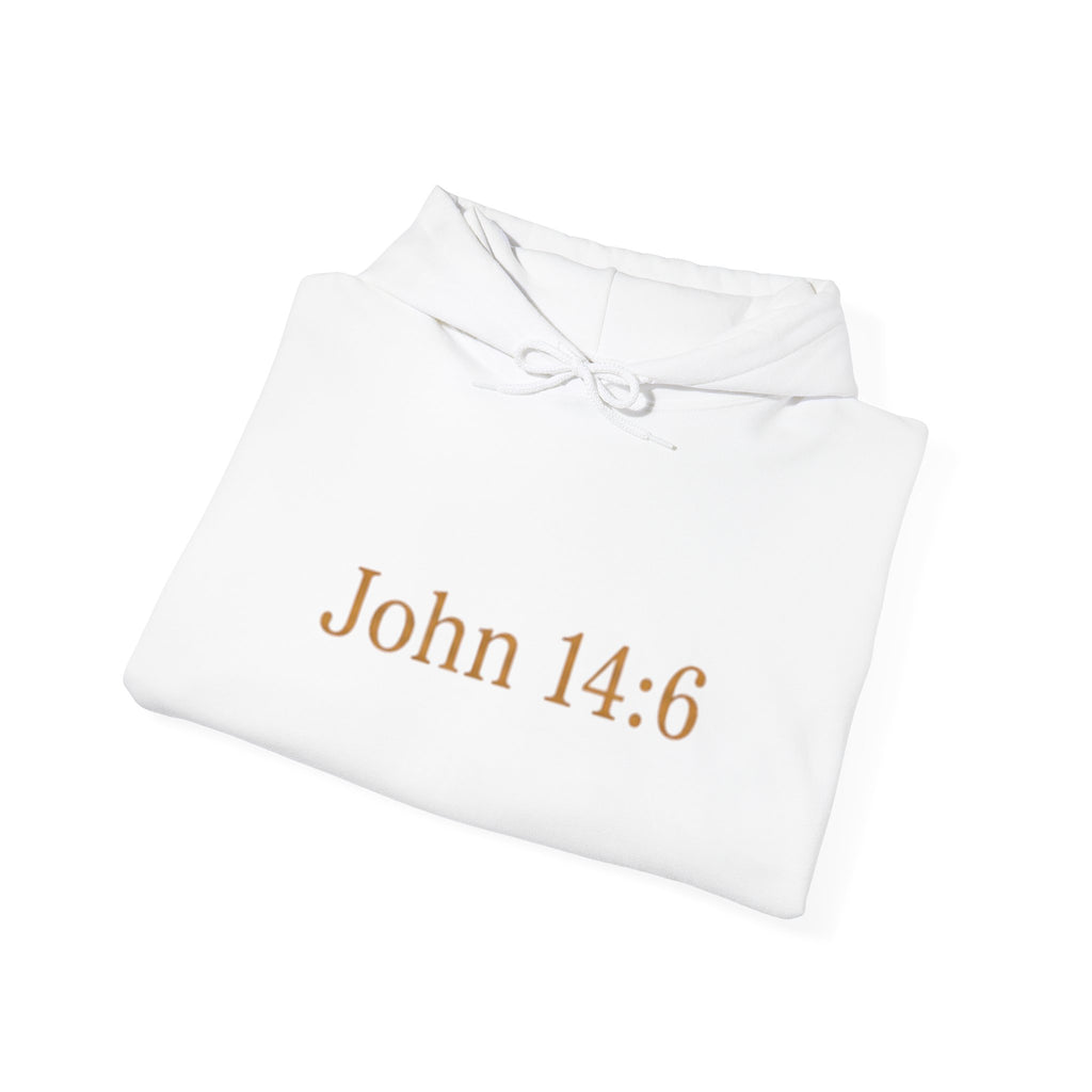 ONE WAY | John 14:6 | Premium Heavy Blend™ Hoodie
