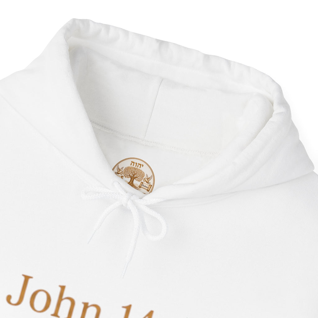 ONE WAY | John 14:6 | Premium Heavy Blend™ Hoodie